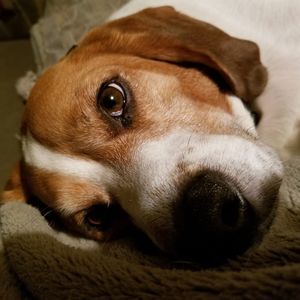 Meet your Posher, Timothy